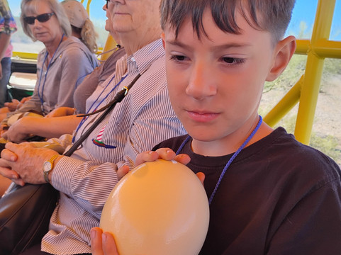 Rooster Cogburn Ostrich Ranch-Picacho必去景点