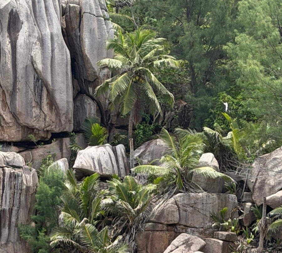 Belle Petra Boatcharter-La Passe必去景点