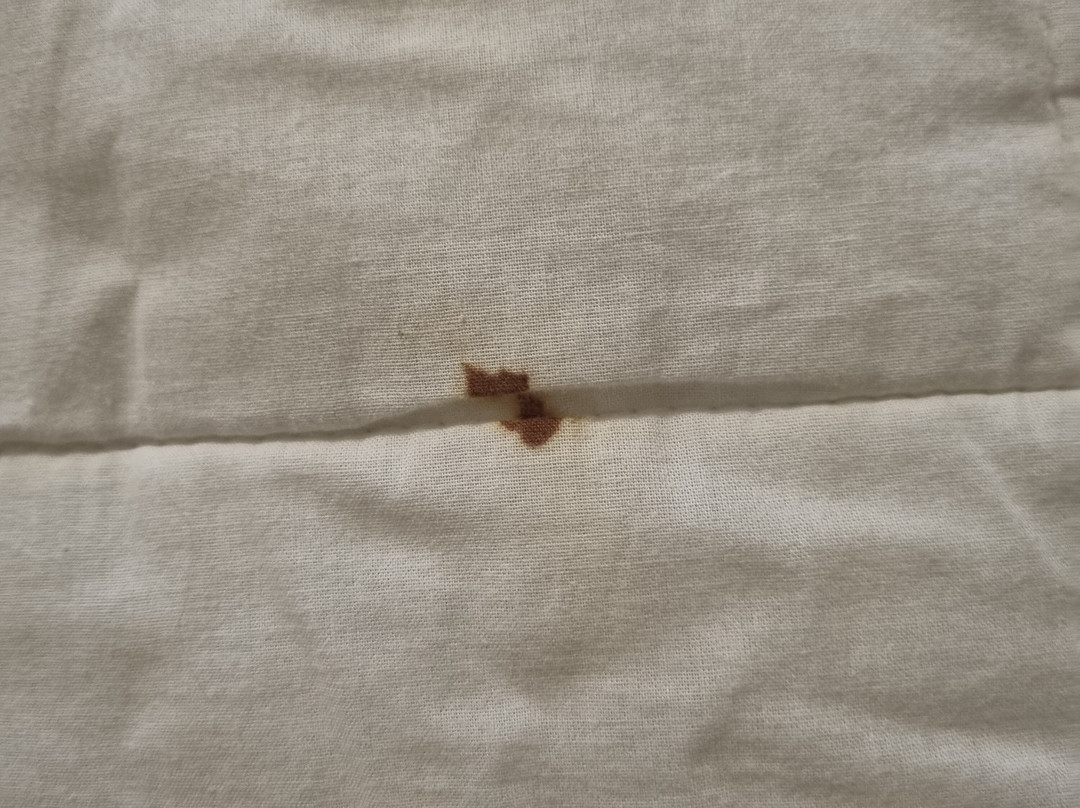 Chifley On City View主图