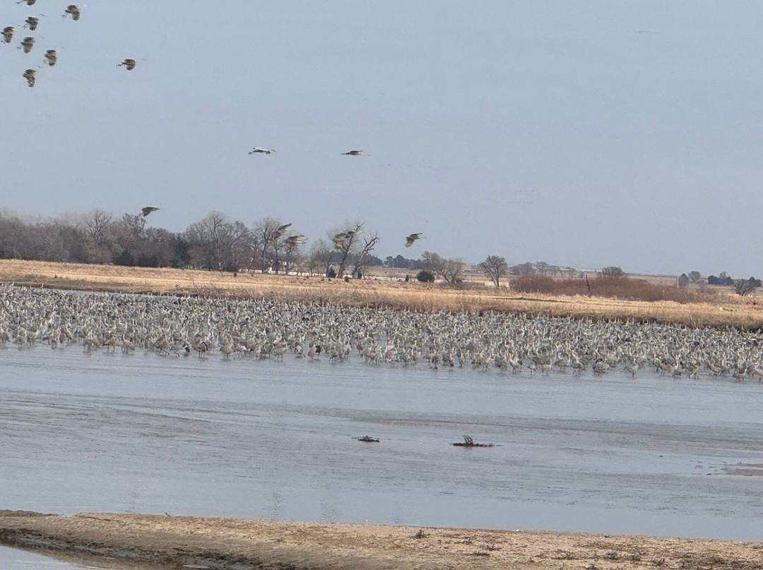 Crane Trust-Wood River必去景点