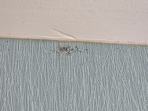 塔拉哈西州议会大厦希尔顿惠庭酒店主图