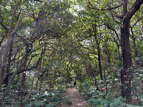 Heart Rock-龙乡町必去景点