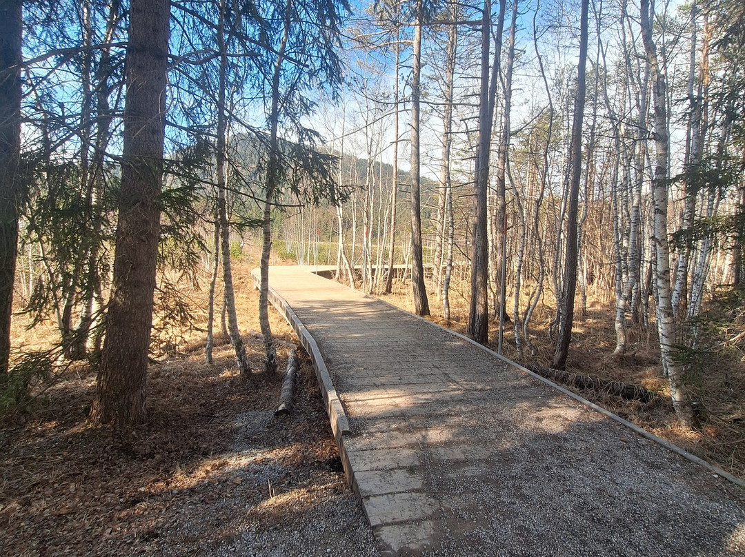 Wildsee-湖地必去景点