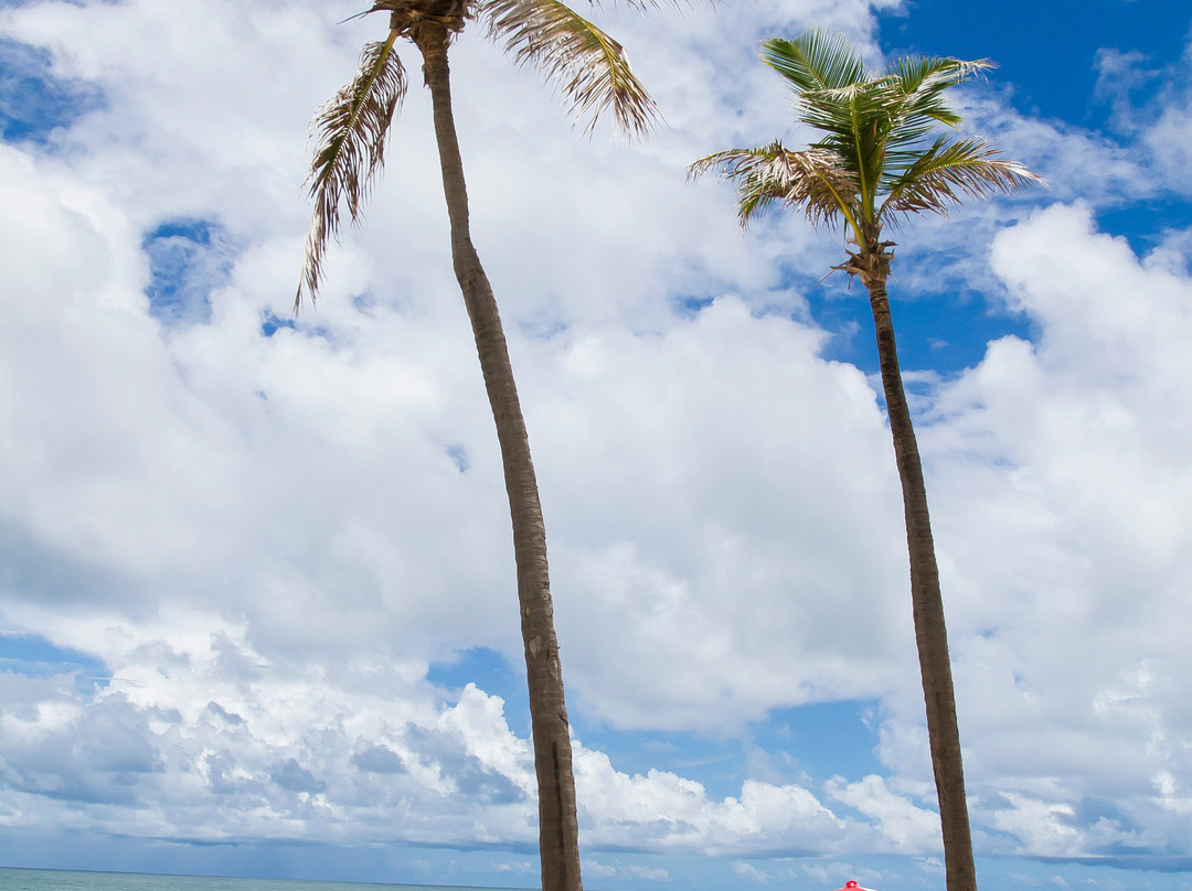 海滩公园海洋酒店主图