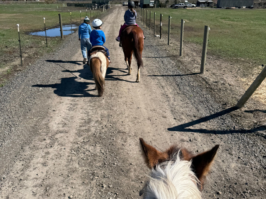 Kinship Trail Rides-埃伦斯堡必去景点