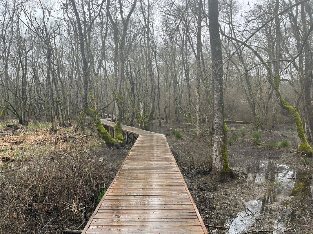 龙圈帐篷营地主图