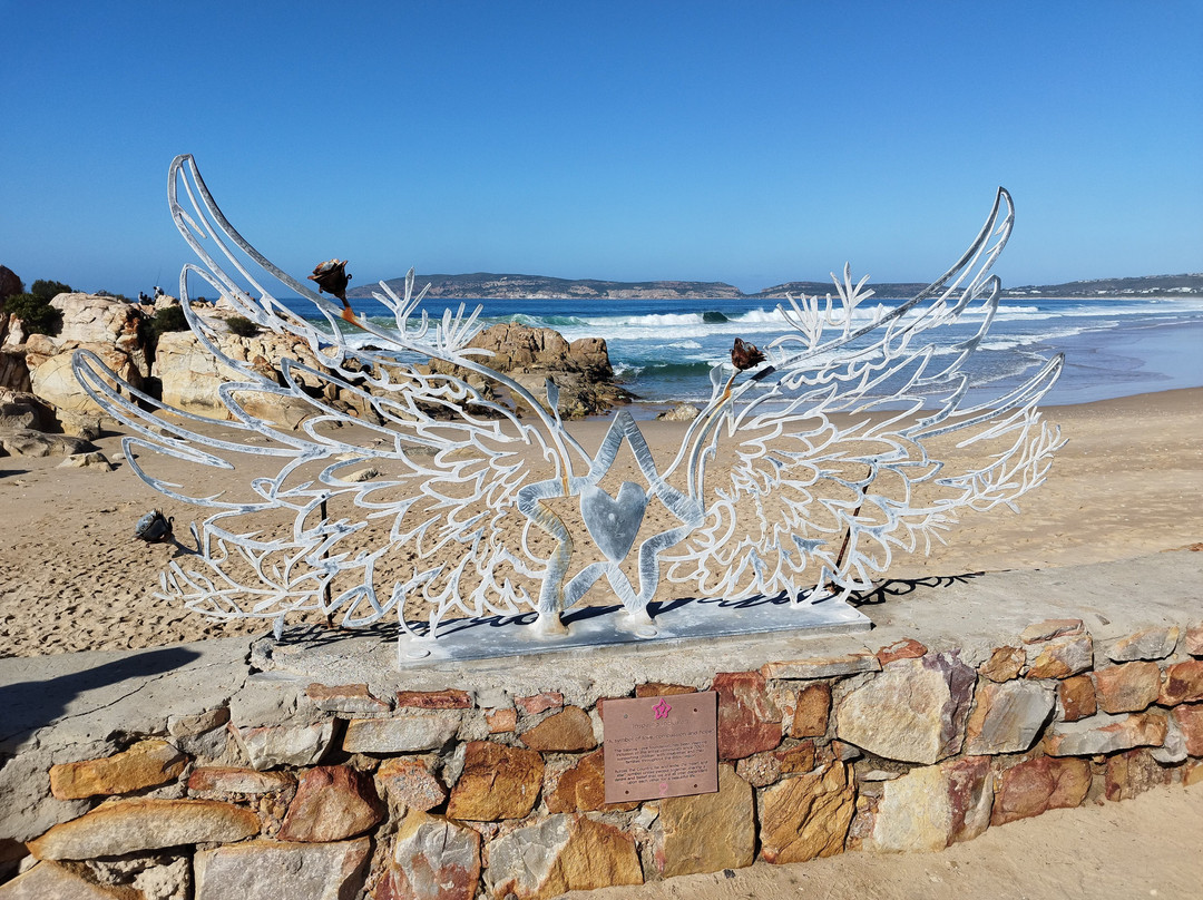 Plettenberg Beach-普利登堡湾必去景点