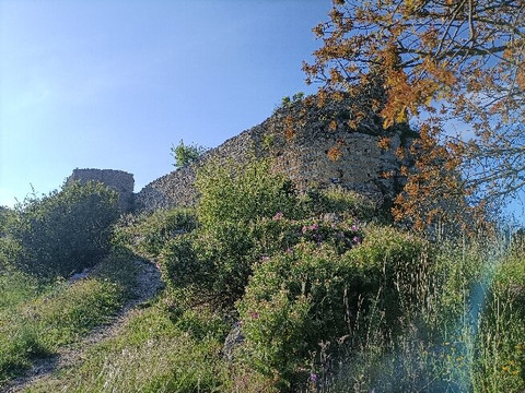 Château Vicomtal Saint-pierre