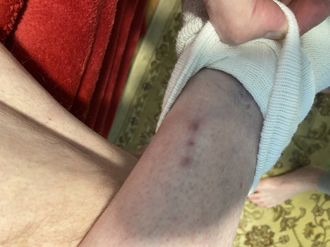 纳什维尔/富兰克林/冷泉凯悦嘉轩酒店主图