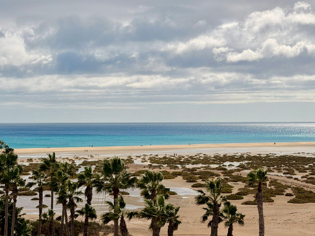 Playa de Sotavento-Costa Calma必去景点