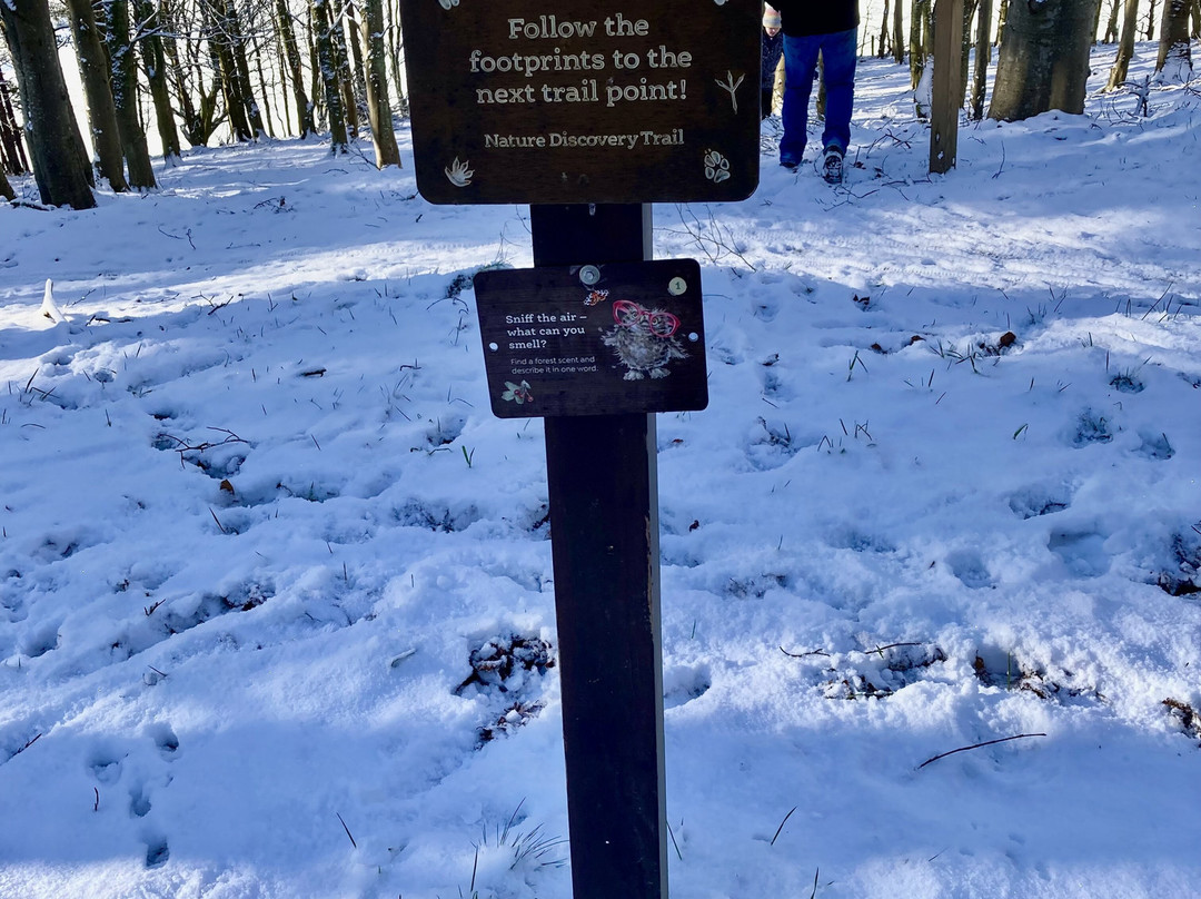 Glentress Forest-皮布尔斯必去景点