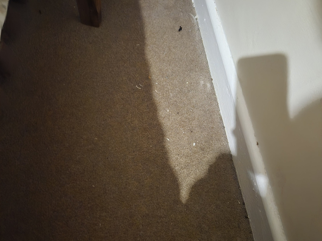 紫丁香住宿加早餐旅馆主图