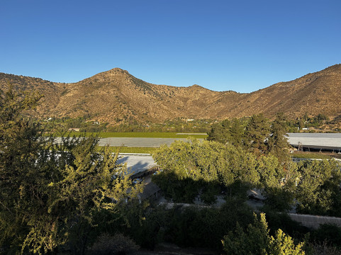 Cuatro Almas Wines-Buin必去景点