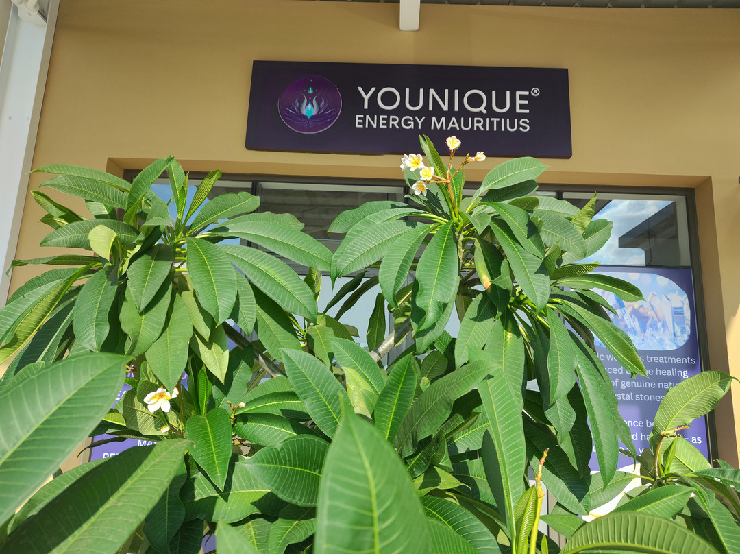 Younique Energy Ltd-Cascavelle必去景点