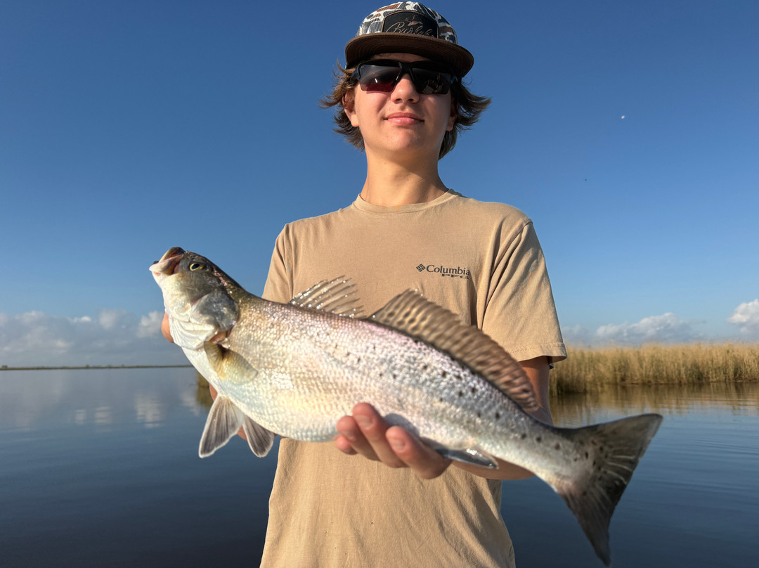 Bayou Charters-Saint Bernard必去景点