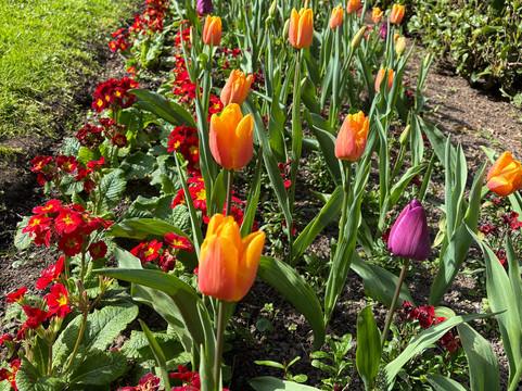 Jardin Public de Bayeux-巴约必去景点
