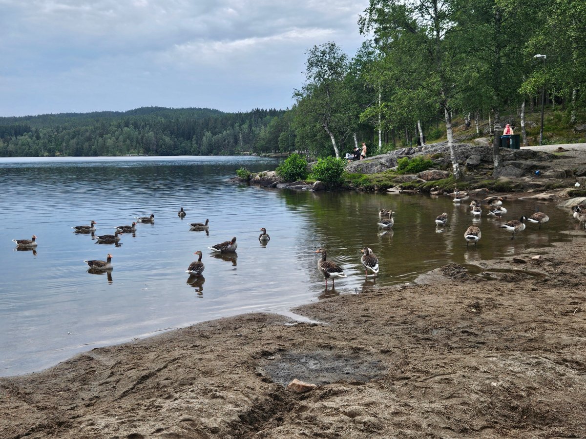 Olympiatoppen Sportshotel - Scandic Partner-官方