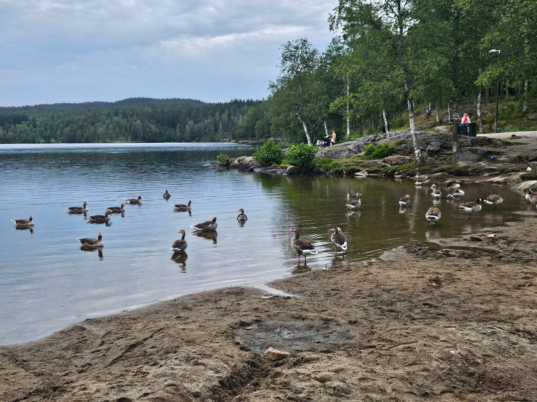 Olympiatoppen Sportshotel - Scandic Partner主图