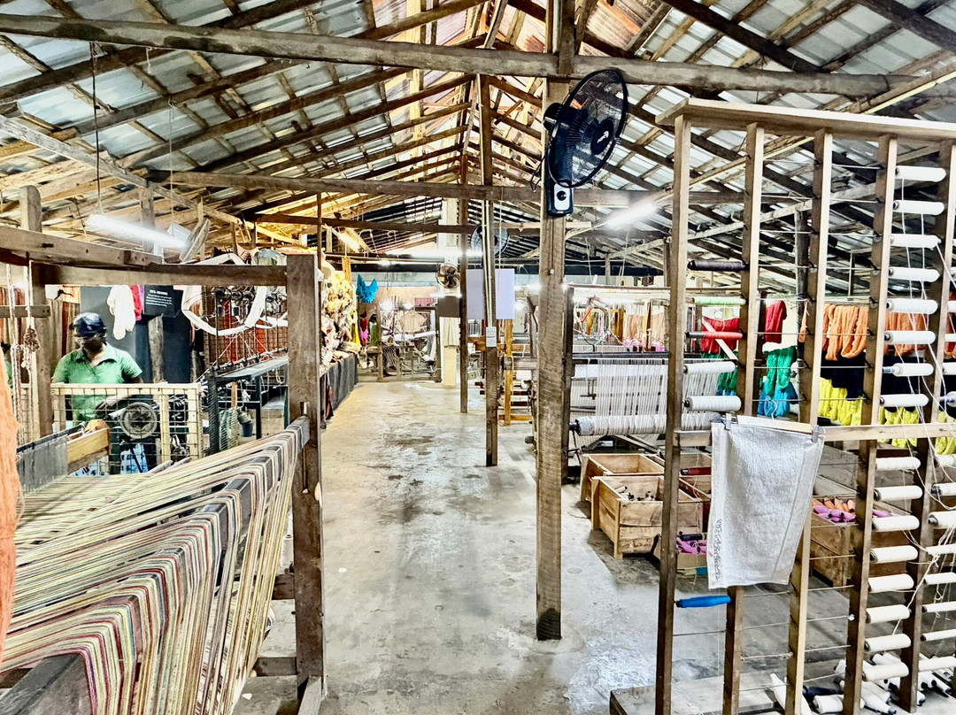 萨米拉骑行之旅-加勒必去景点