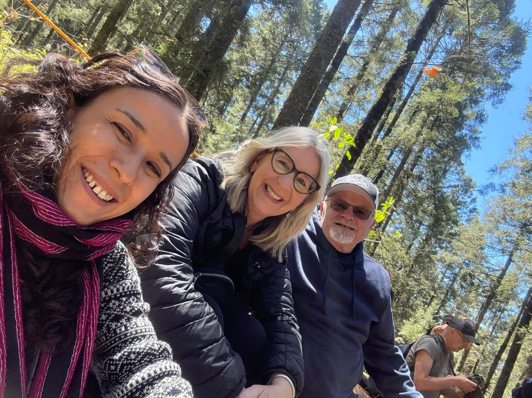 Kay Tours Mexico-普拉亚德尔卡曼必去景点