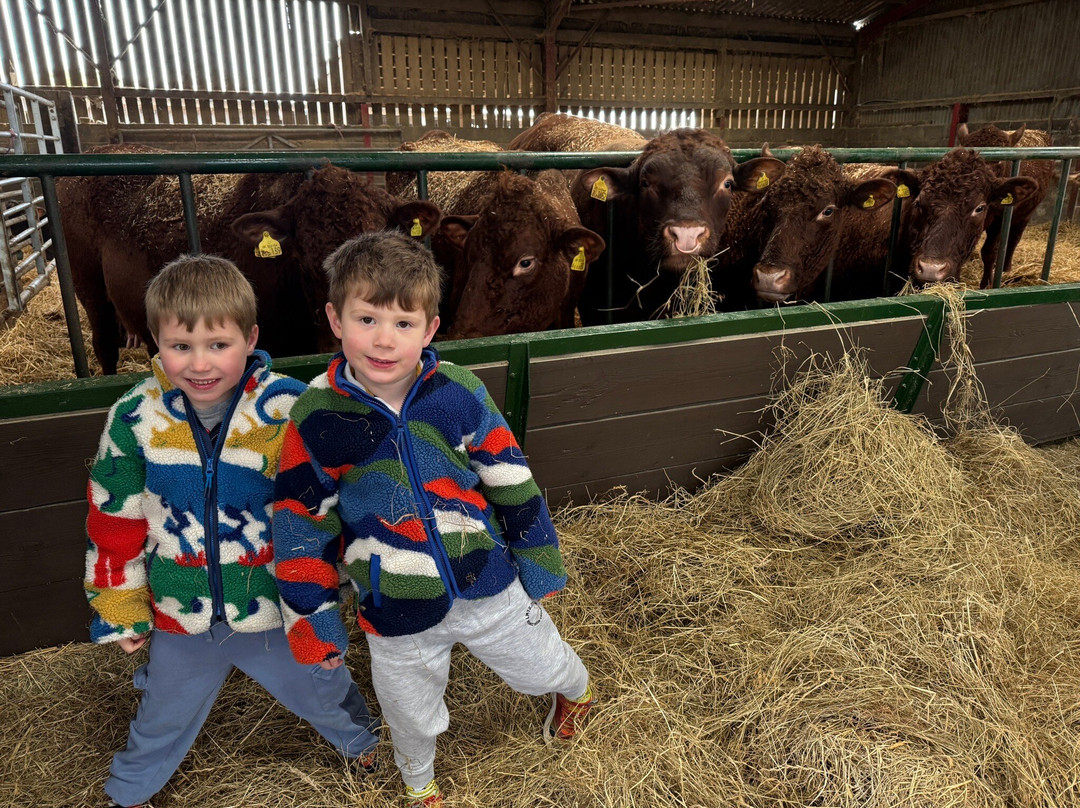 Court Farm Country Park-Banwell必去景点