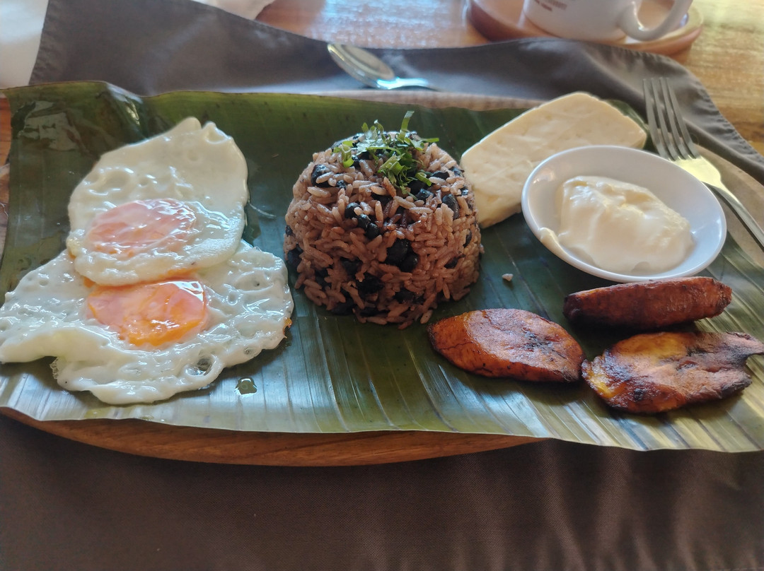 波萨布兰卡旅馆主图