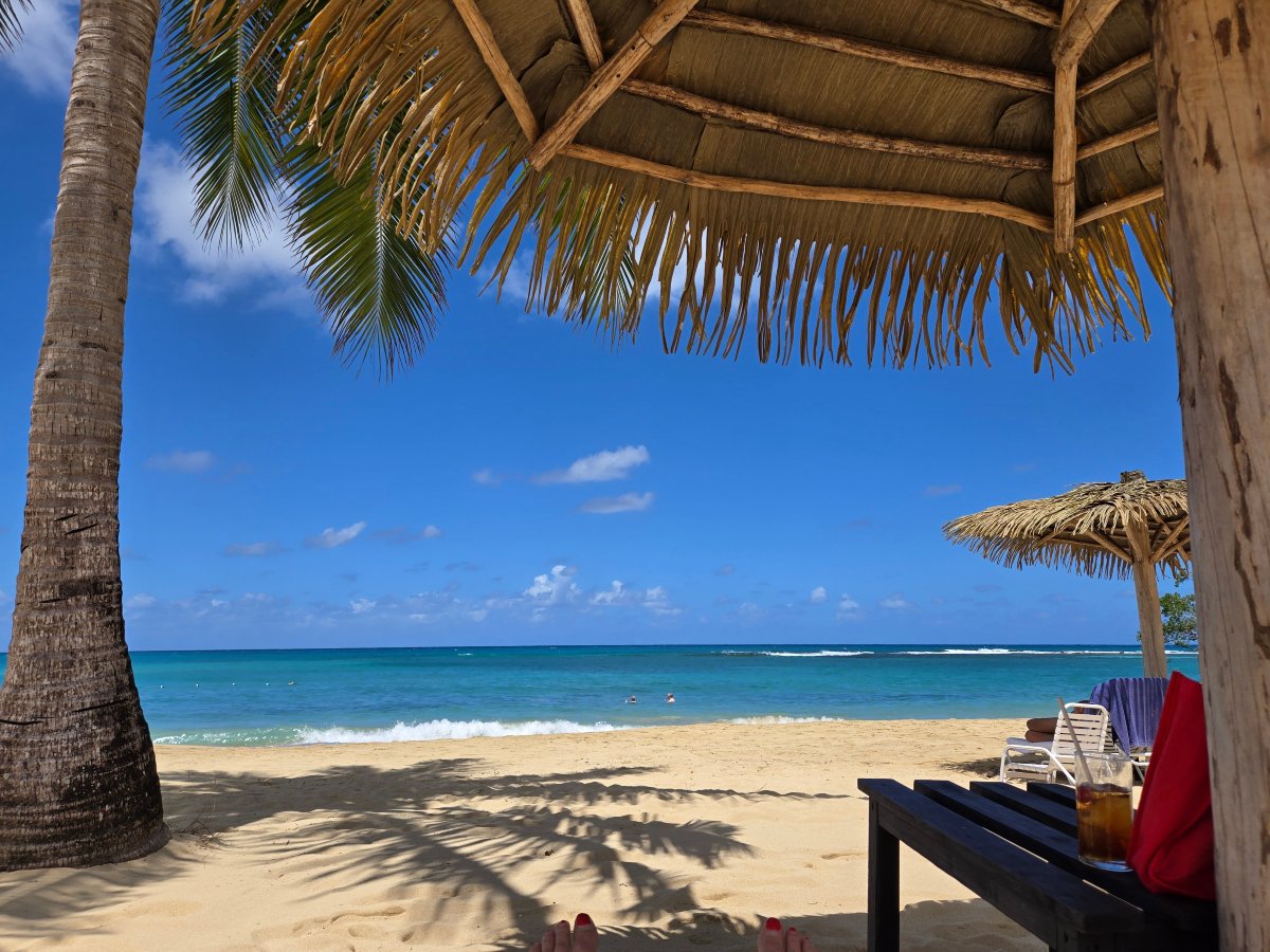 牙买加旅馆-官方