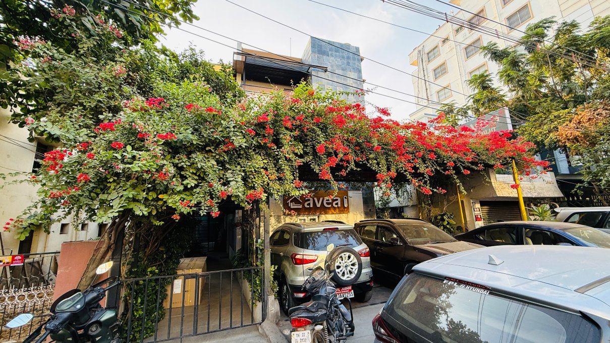 Avea Accommodation-官方