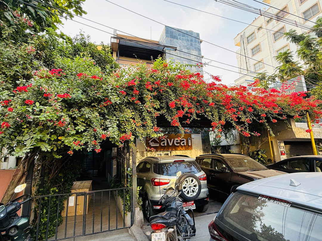 Avea Accommodation主图