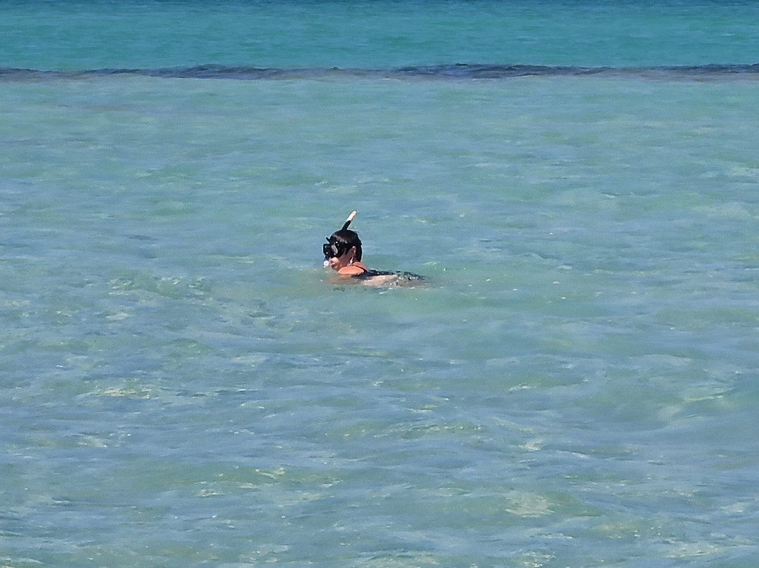 Island Boat Tours & Adventures-Bradenton Beach必去景点