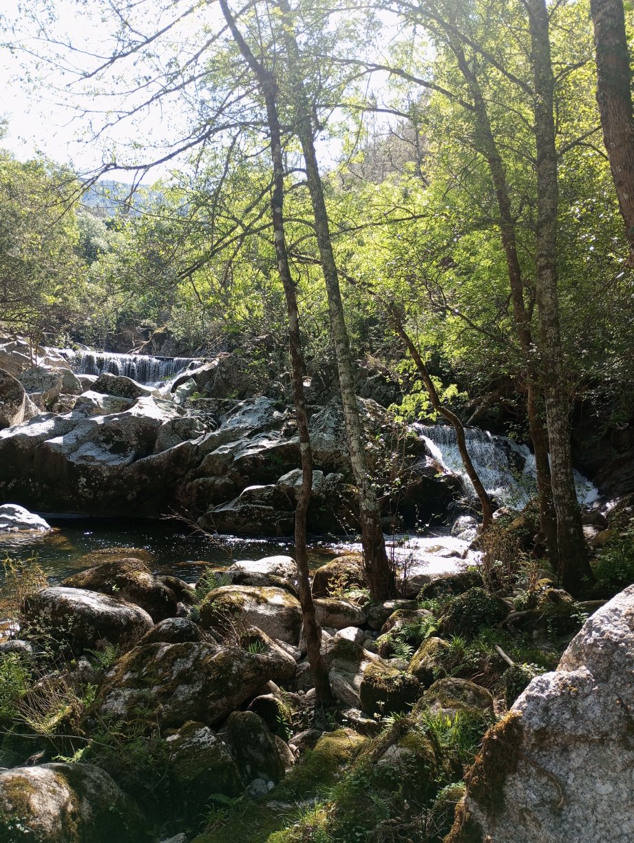 Casa da Ribeira do Cirio-官方