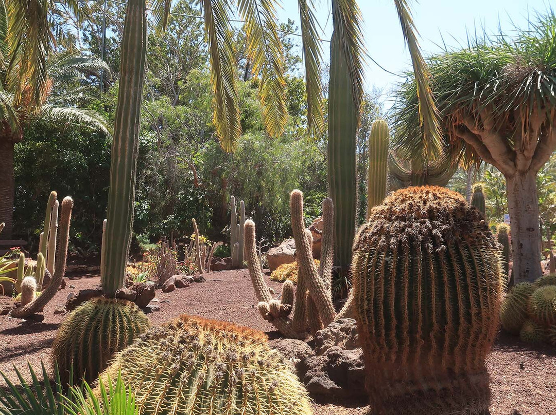 Jardin Botanico-La Lajita必去景点