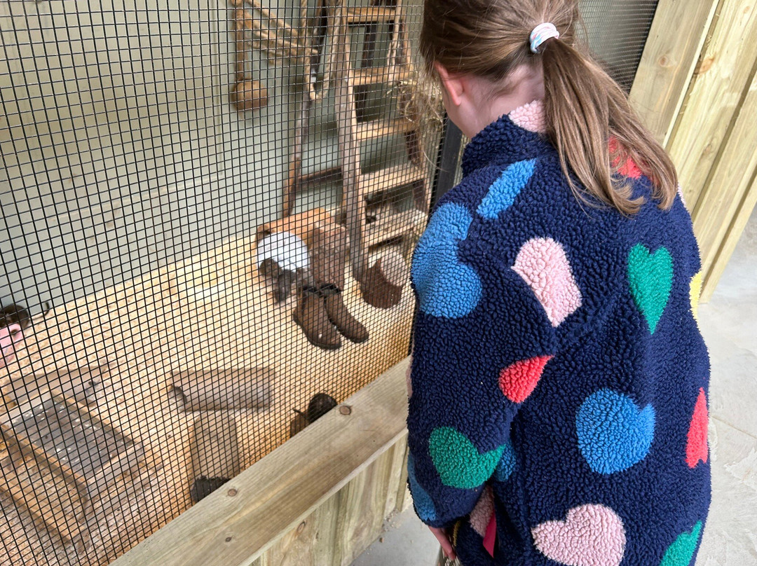 Monk Park Farm-Bagby必去景点