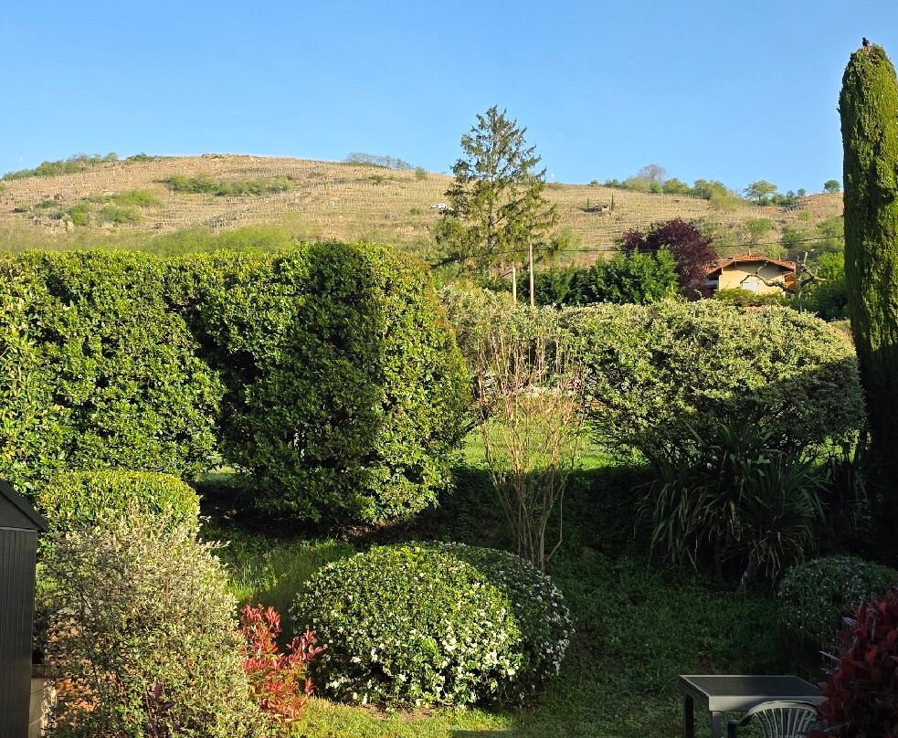 迪斯瑞德酒店主图