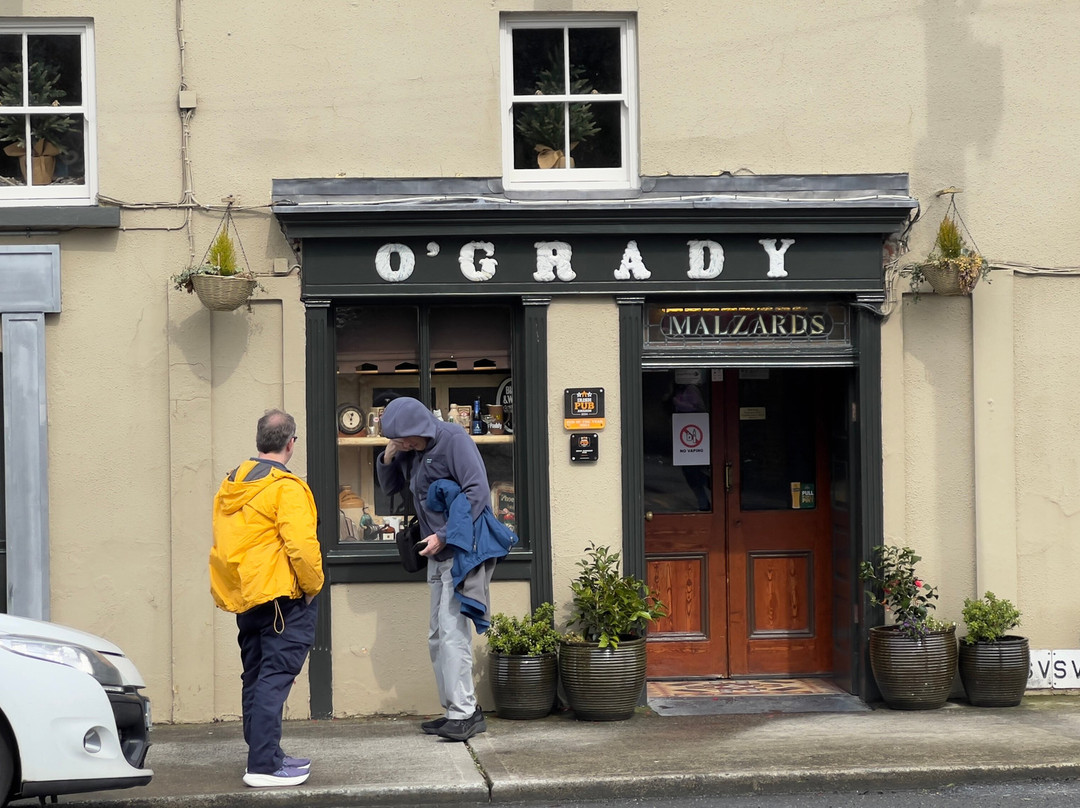 Malzards Pub-Stoneyford必去景点