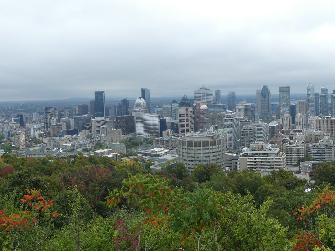 Plateau Mont-Royal-蒙特利尔必去景点