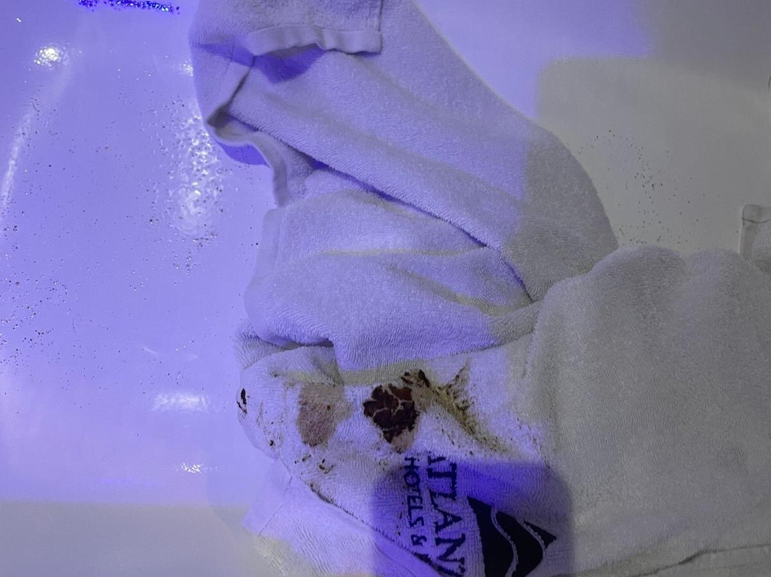 大西洋海风 - 限成人主图