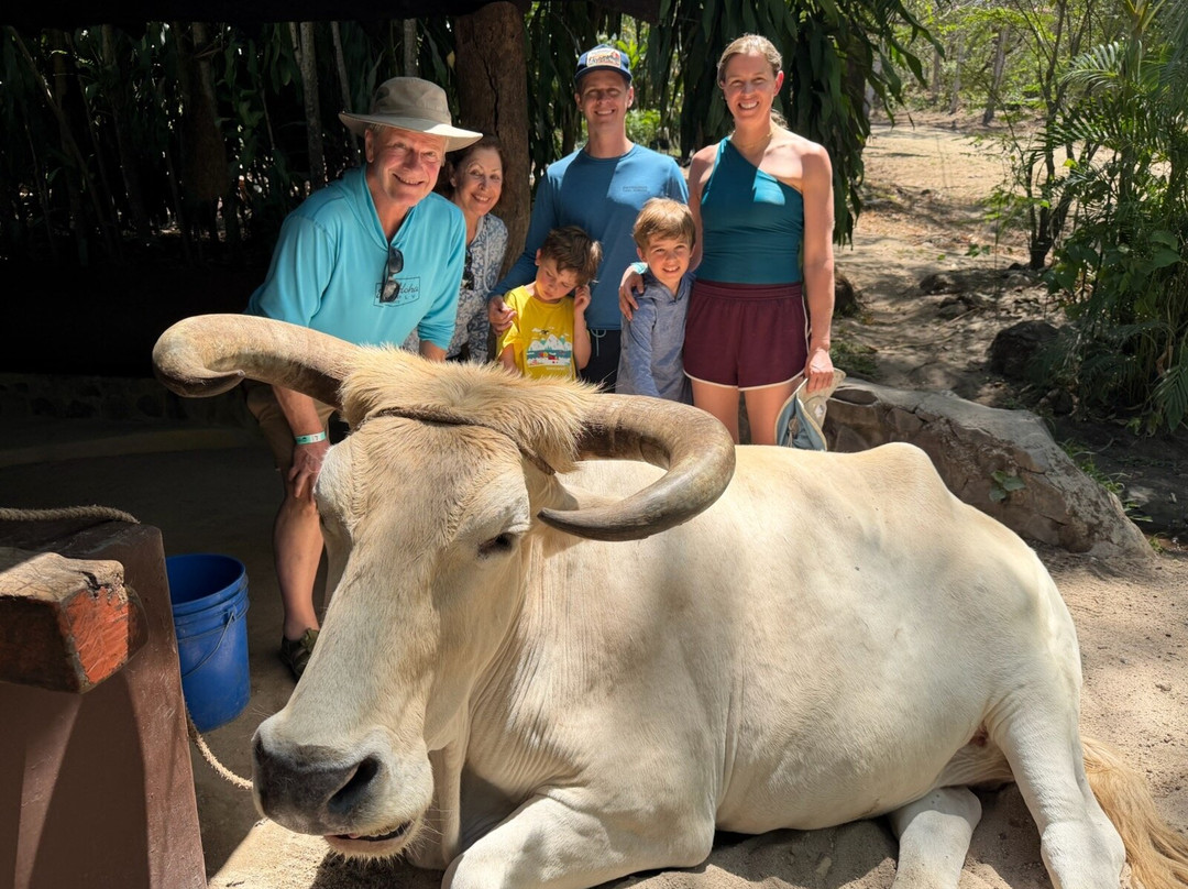 Prime Tours Costa Rica-利比里亚必去景点