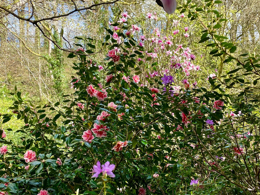 Plas Cadnant Hidden Gardens-Menai Bridge必去景点