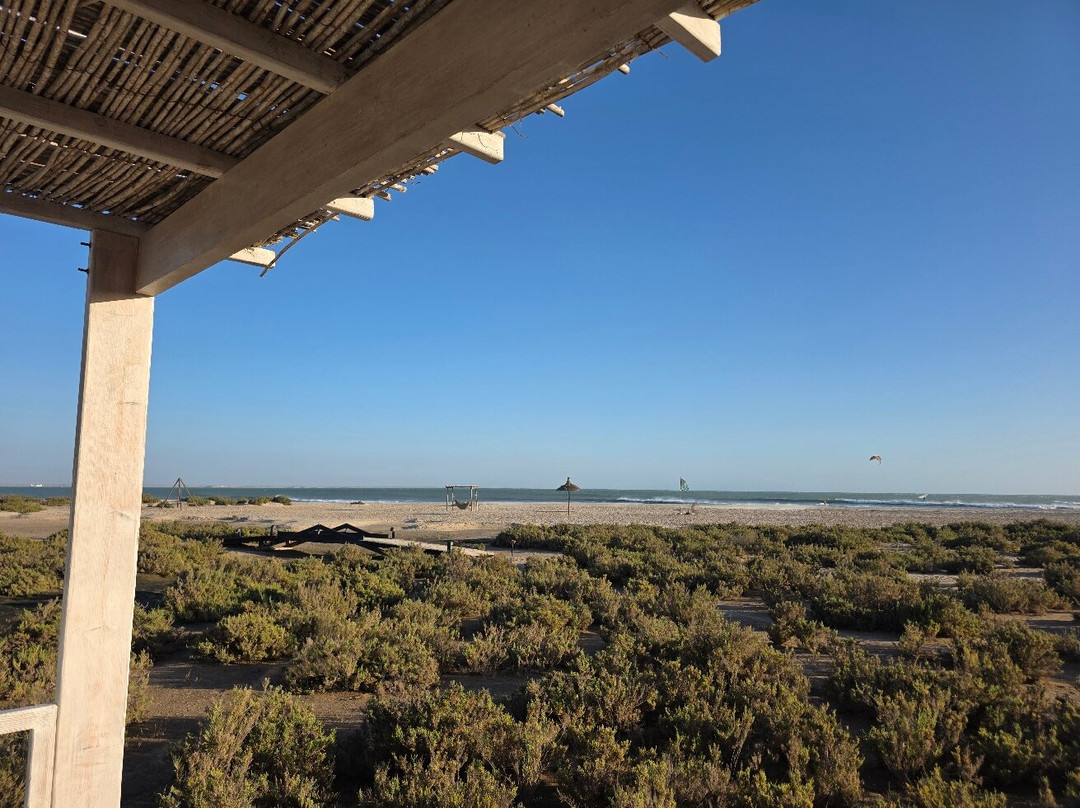 Ocean Vagabond Lassarga主图