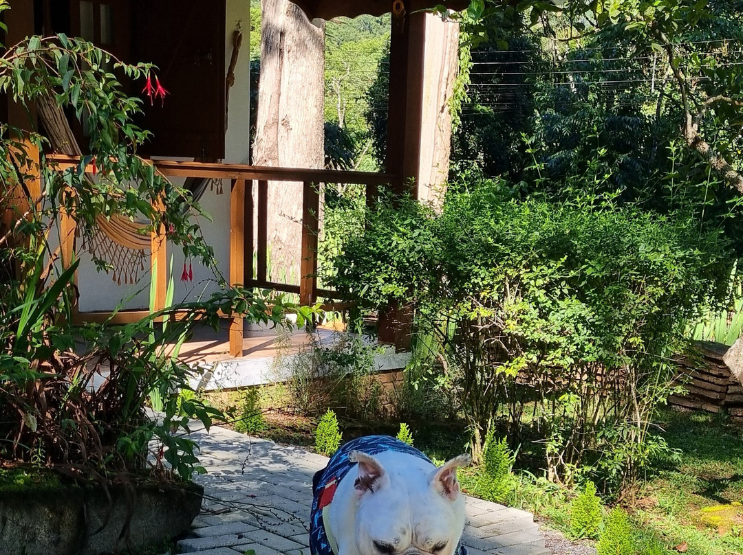 瑞士矿工花园旅馆主图