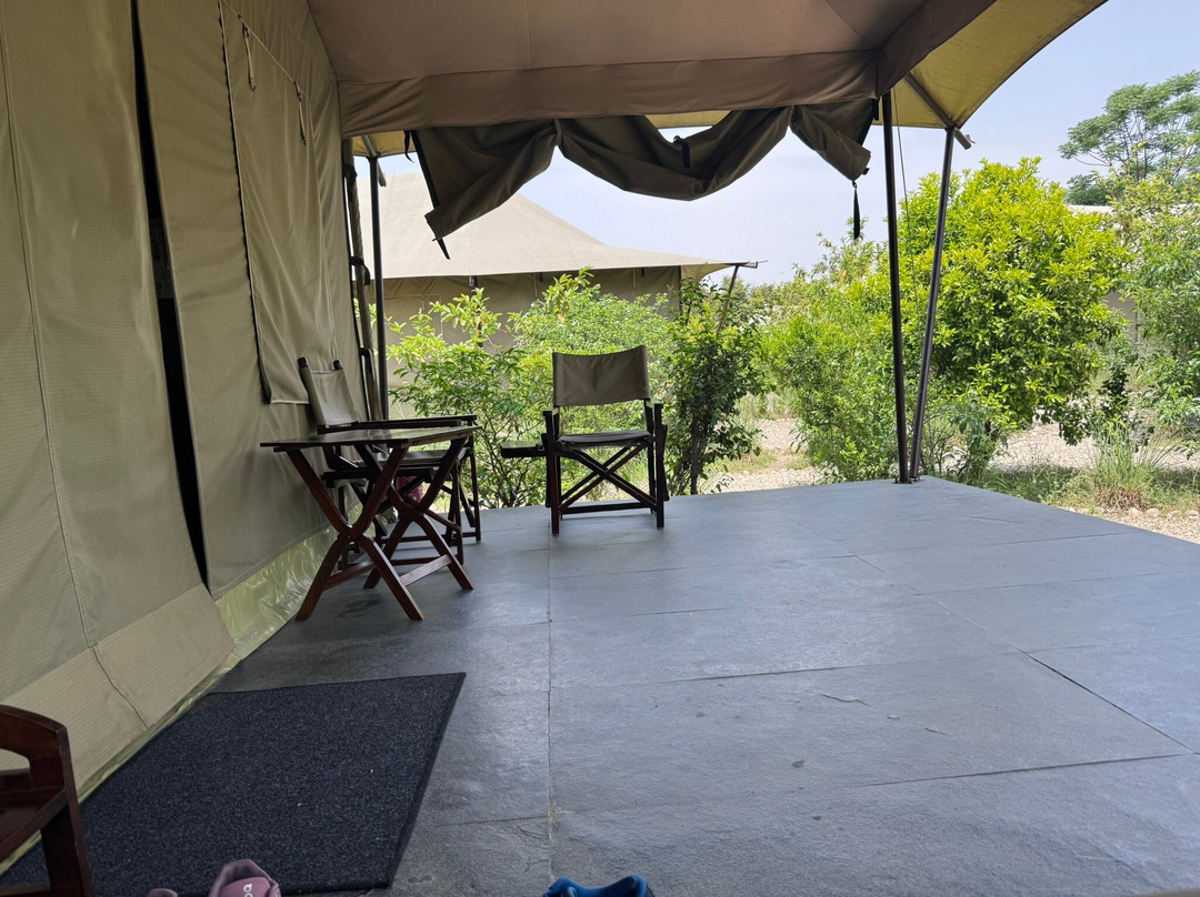 Aalia丛林班达再次主图