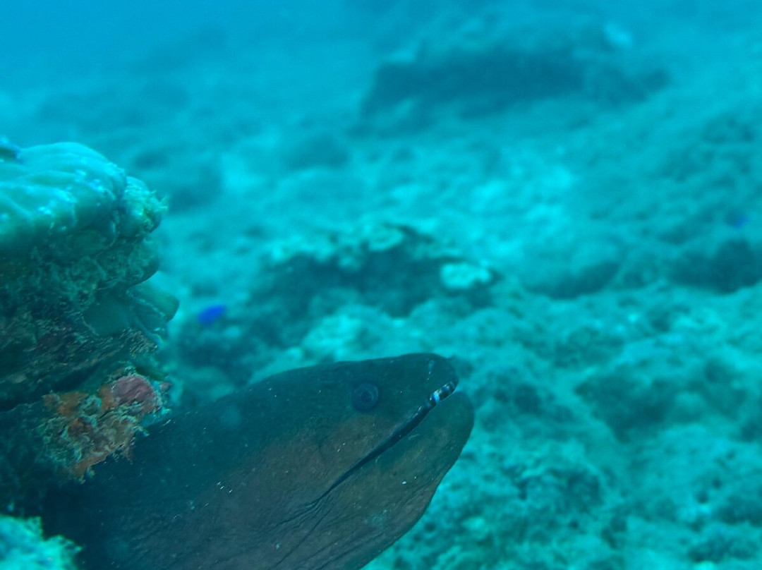 亚洲天堂浮潜-奈阳必去景点