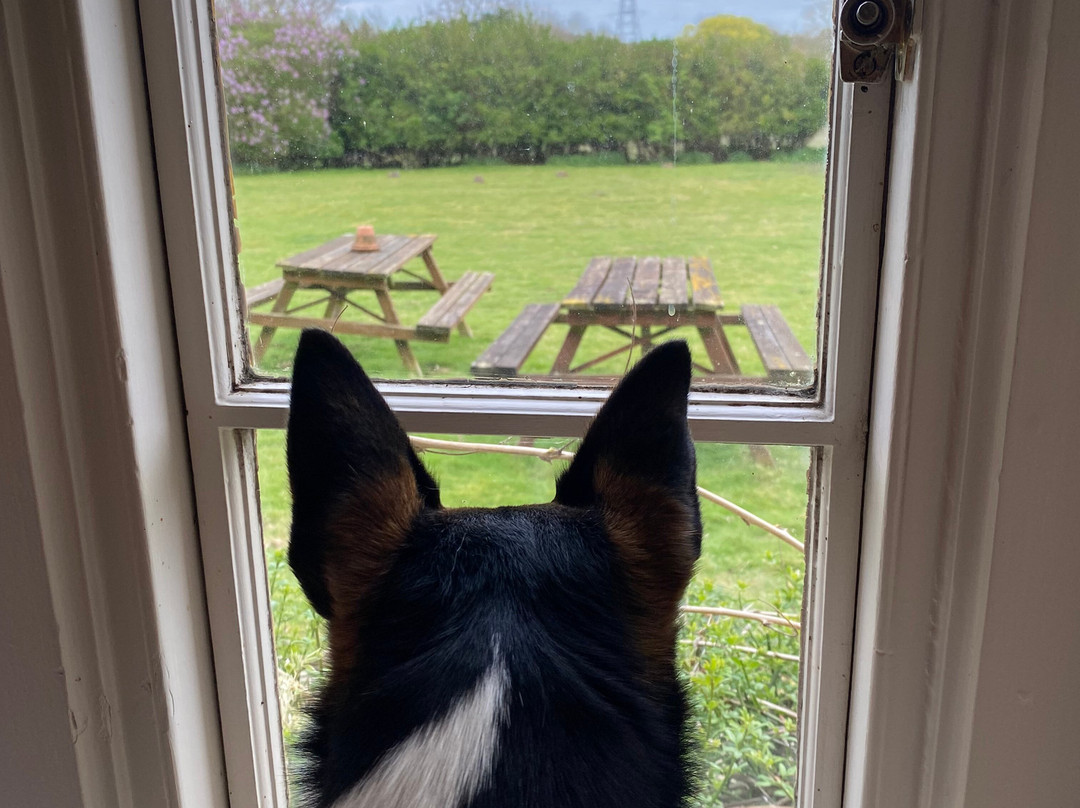 西布森酒店主图