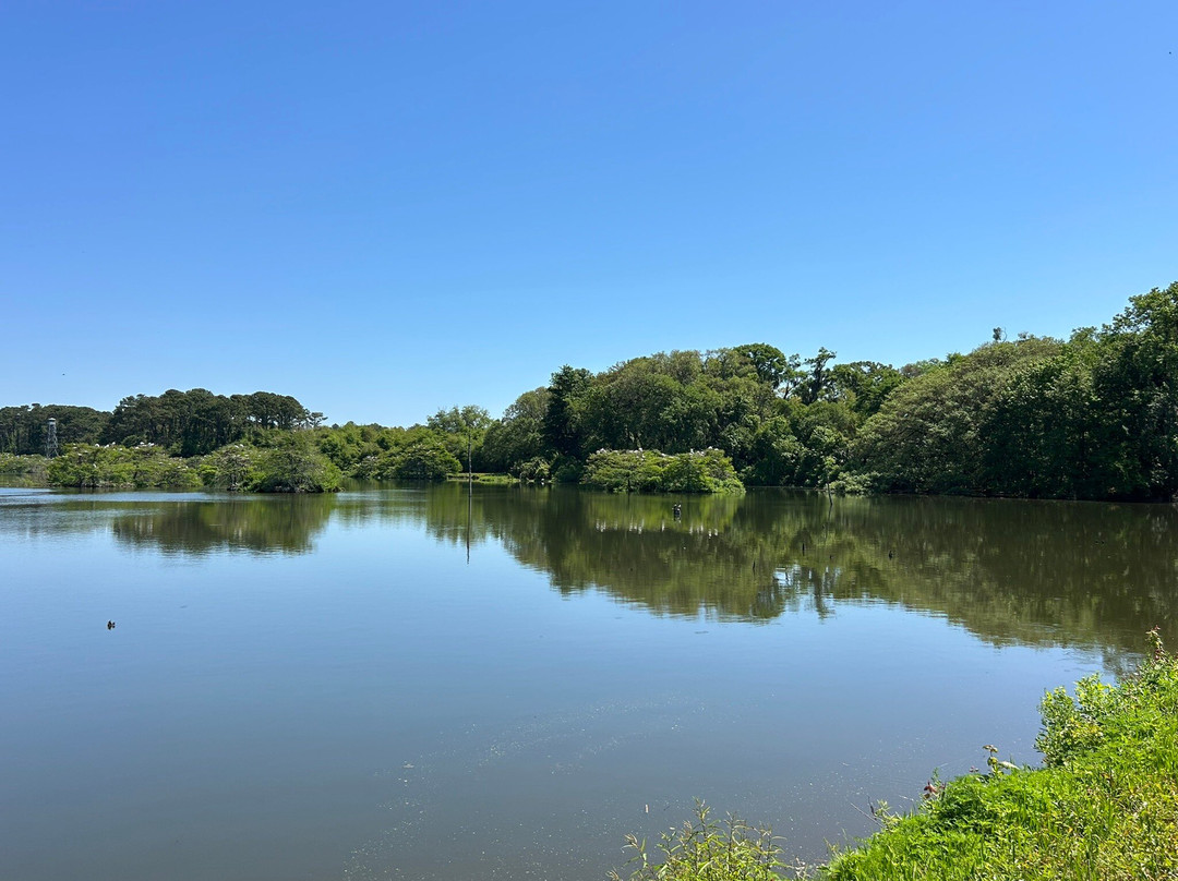 Harris Neck National Wildlife Refuge-萨凡纳必去景点
