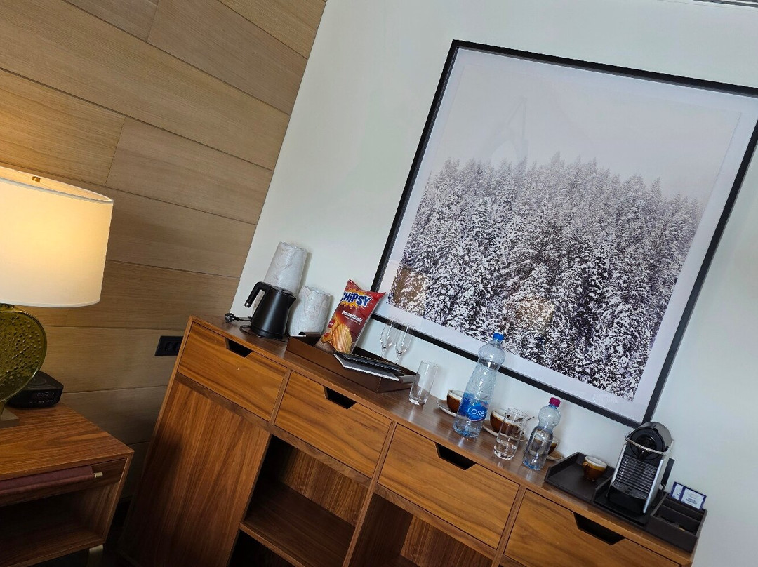 塞尔维亚科帕奥尼克维卡罗伊酒店主图