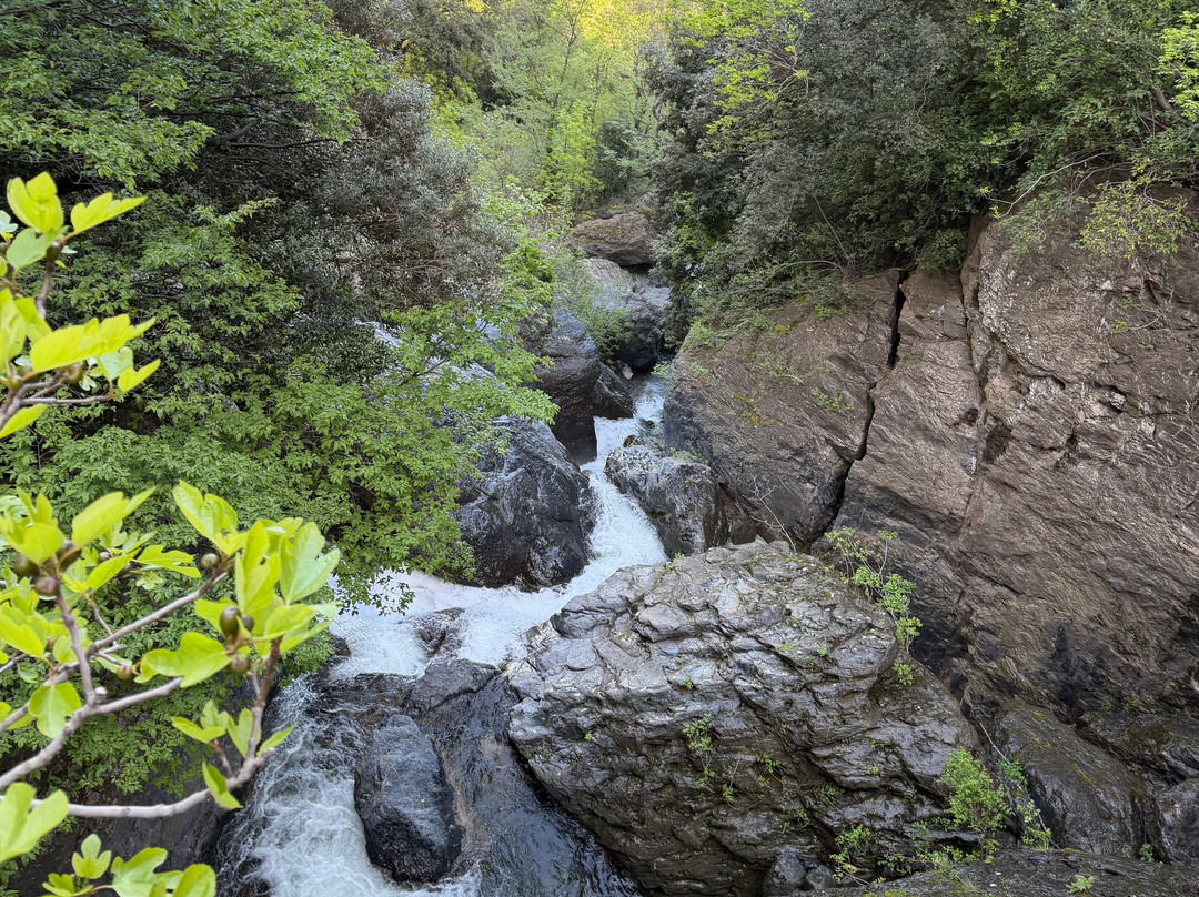 Corse Trike-Bastia必去景点