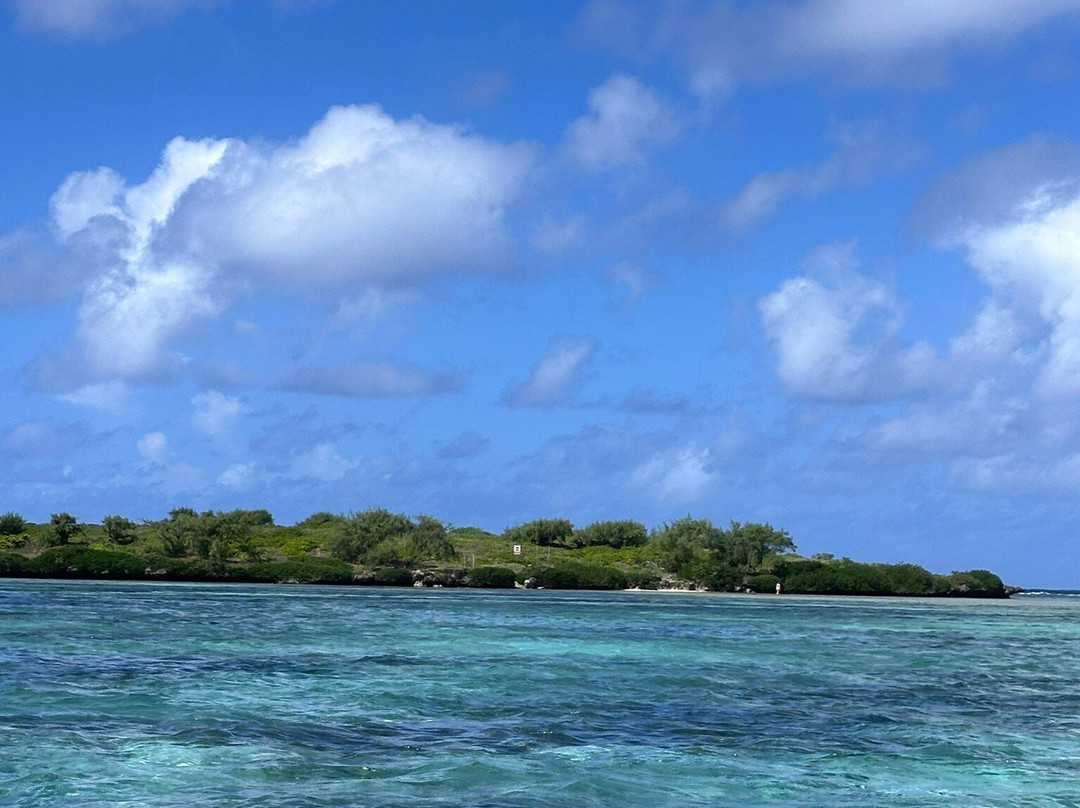 Belinda Boat Tour-贝尔马尔必去景点
