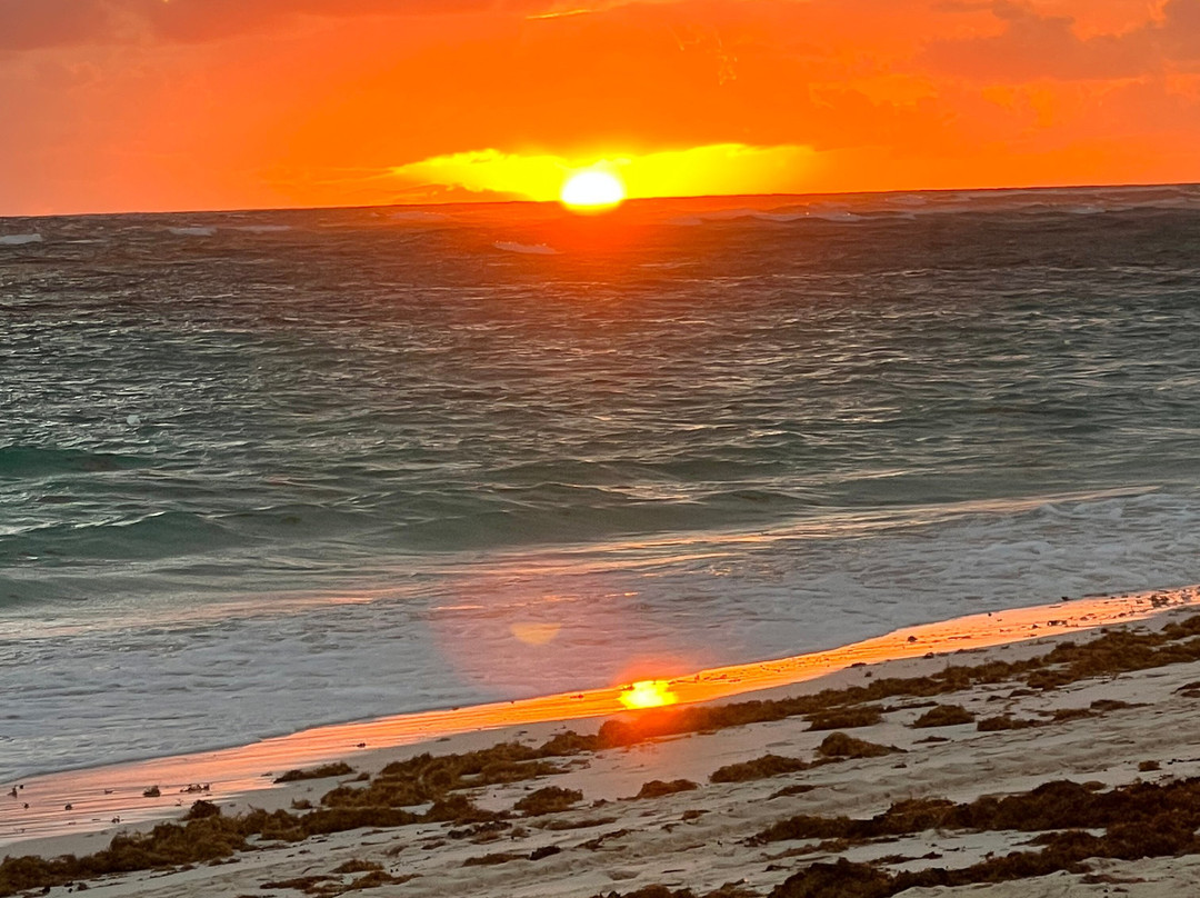 蓬塔卡纳宏伟异域度假村-全包主图