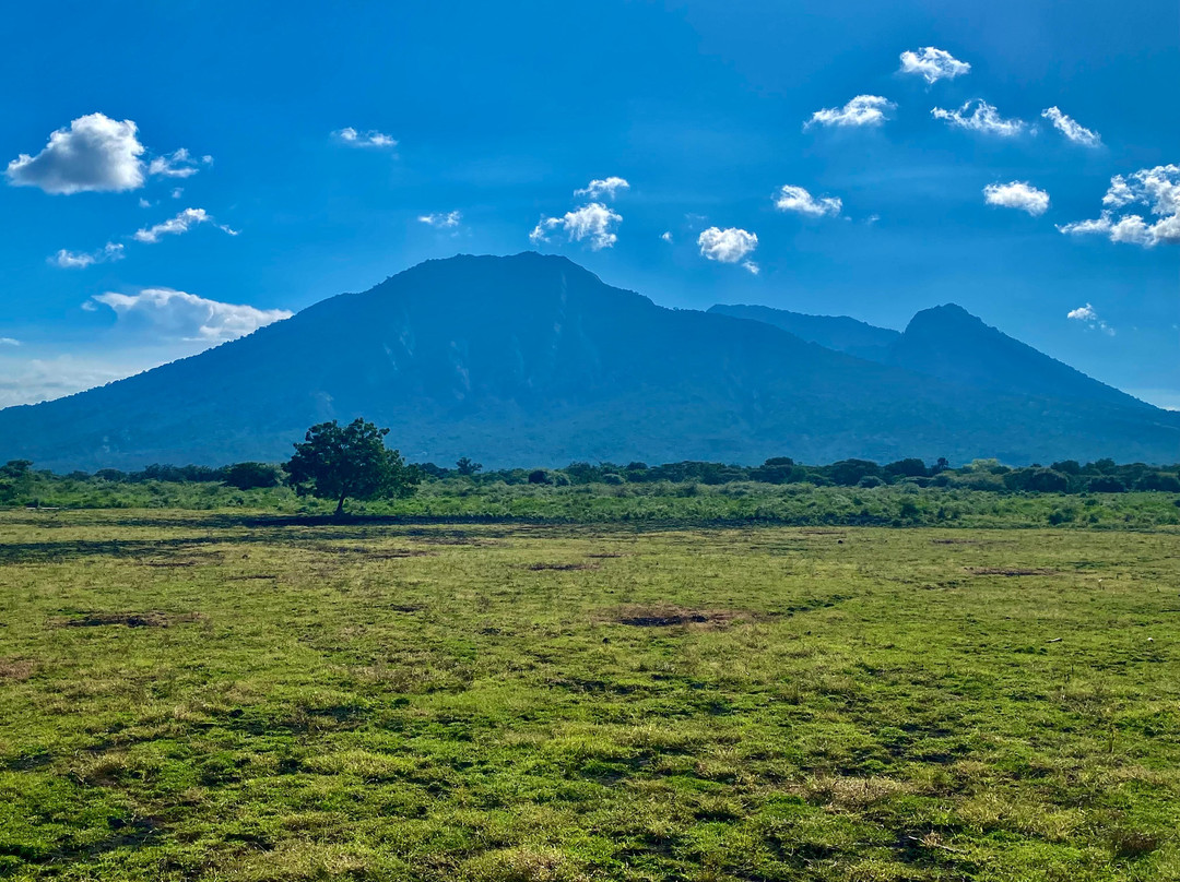 Baluran National Park-Situbondo必去景点